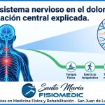 El rol del sistema nervioso en el dolor crónico: sensibilización central explicada