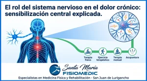 El rol del sistema nervioso en el dolor crónico: sensibilización central explicada