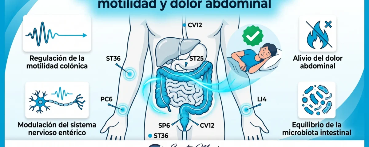 Acupuntura para colon irritable: motilidad y dolor abdominal