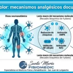 Ozono y dolor: mecanismos analgésicos documentados