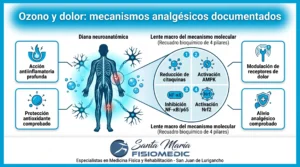 Ozono y dolor: mecanismos analgésicos documentados